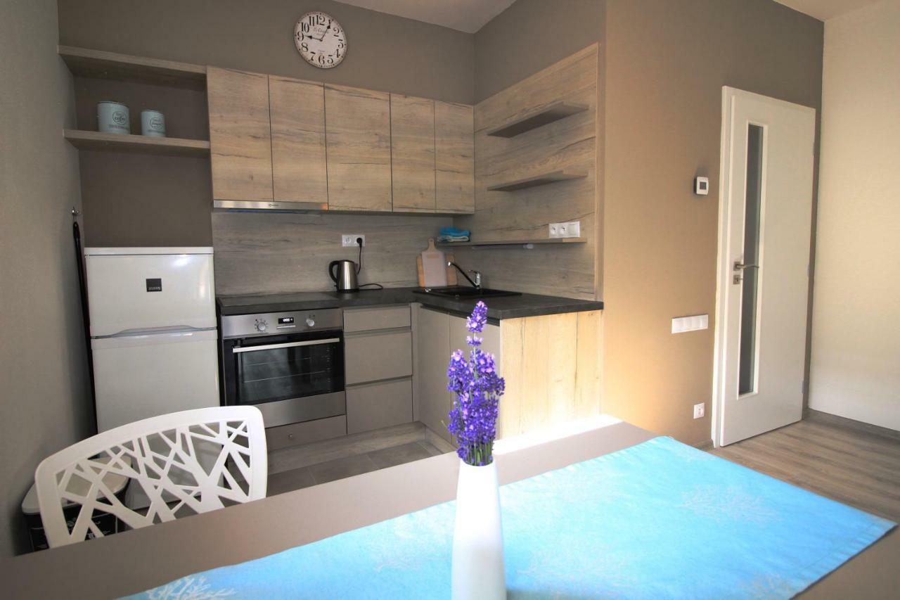 Apartman Lipno Korzo Διαμέρισμα Lipno nad Vltavou Εξωτερικό φωτογραφία